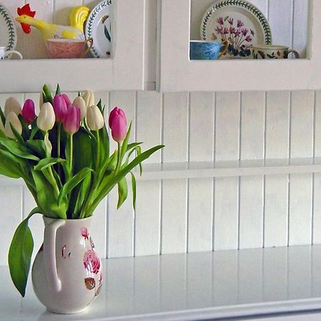 Craigielea Bed & Breakfast กาลาชีลส์ ภายนอก รูปภาพ